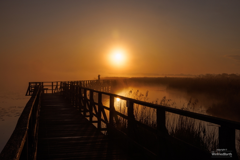 Sonnenaufgang Federseesteg.jpg